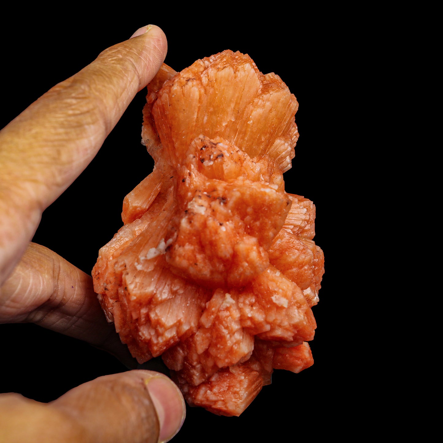 Orange stilbite Natural Mineral Specimen # G 0002