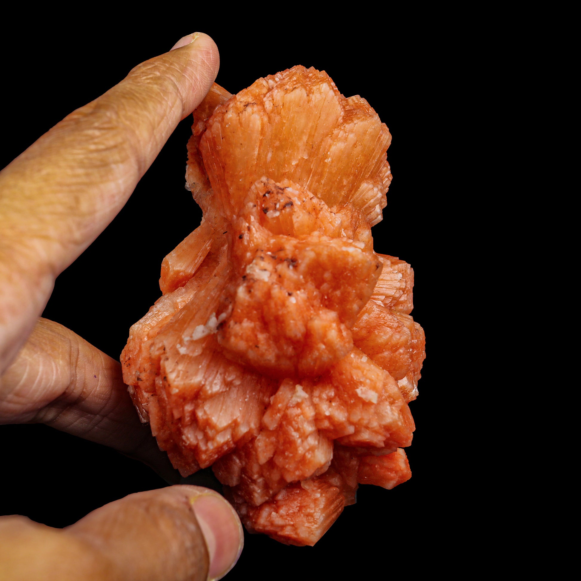 Orange stilbite Natural Mineral Specimen  # G 0002
