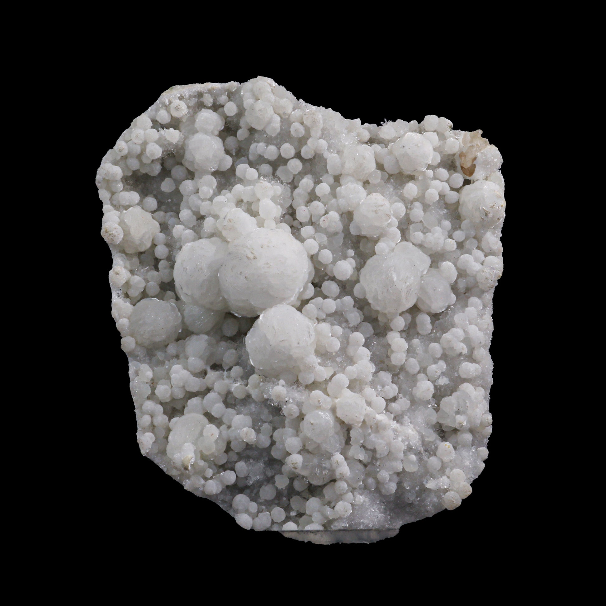 Rare, Lustrous Gyrolite with MM Quartz Natural Mineral Specimen  # G 0015
