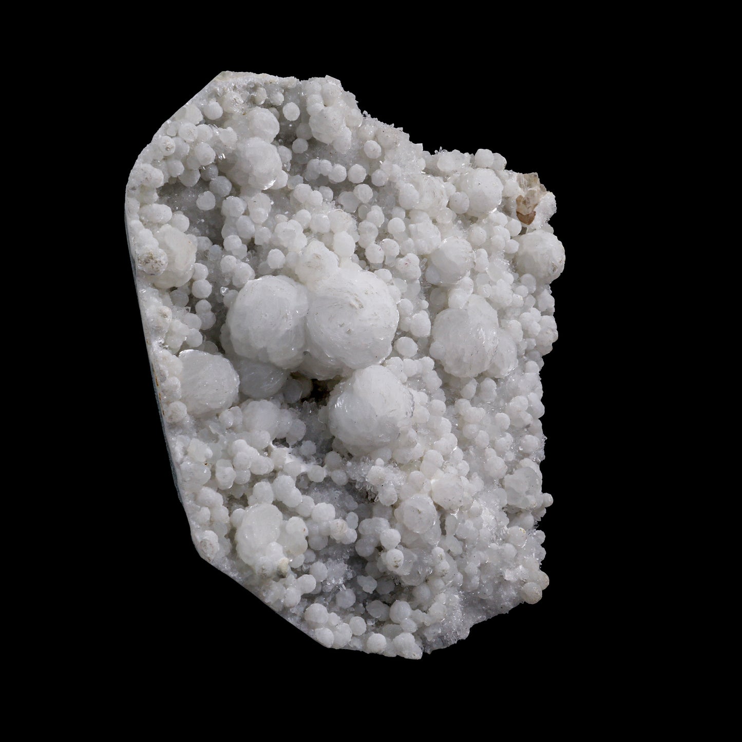 Rare, Lustrous Gyrolite with MM Quartz Natural Mineral Specimen # G 0015