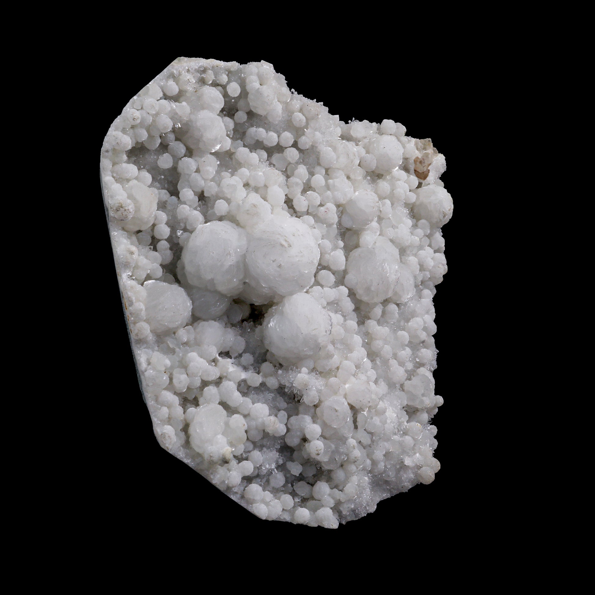Rare, Lustrous Gyrolite with MM Quartz Natural Mineral Specimen  # G 0015