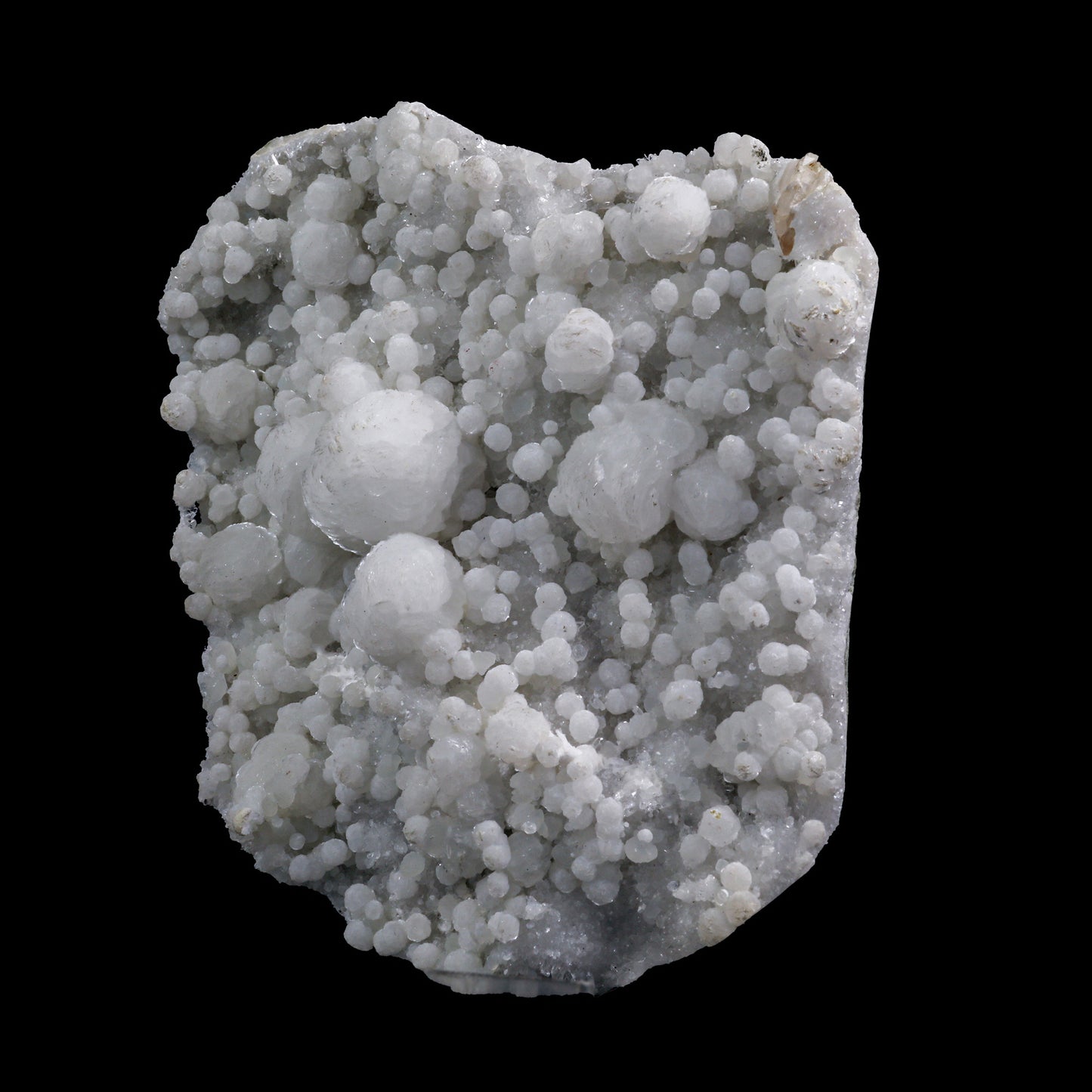 Rare, Lustrous Gyrolite with MM Quartz Natural Mineral Specimen # G 0015