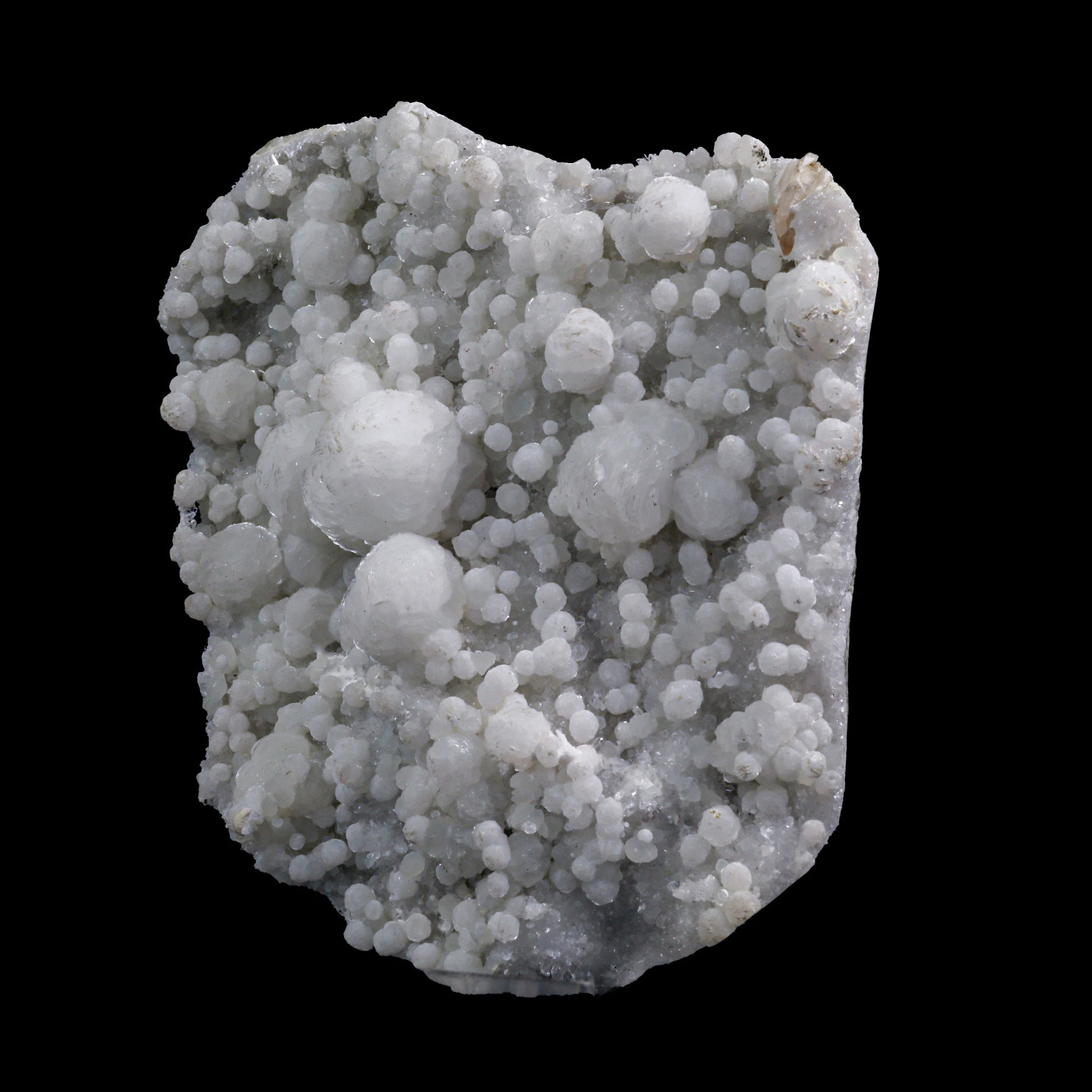 Rare, Lustrous Gyrolite with MM Quartz Natural Mineral Specimen  # G 0015