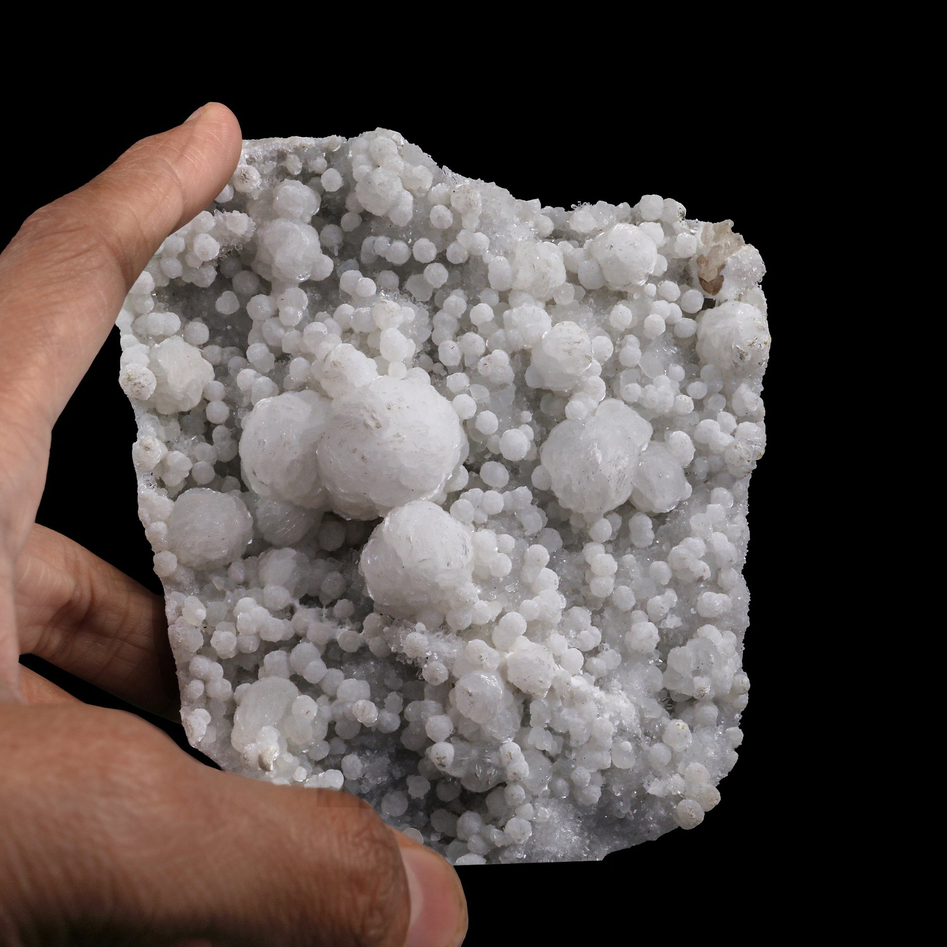 Rare, Lustrous Gyrolite with MM Quartz Natural Mineral Specimen  # G 0015