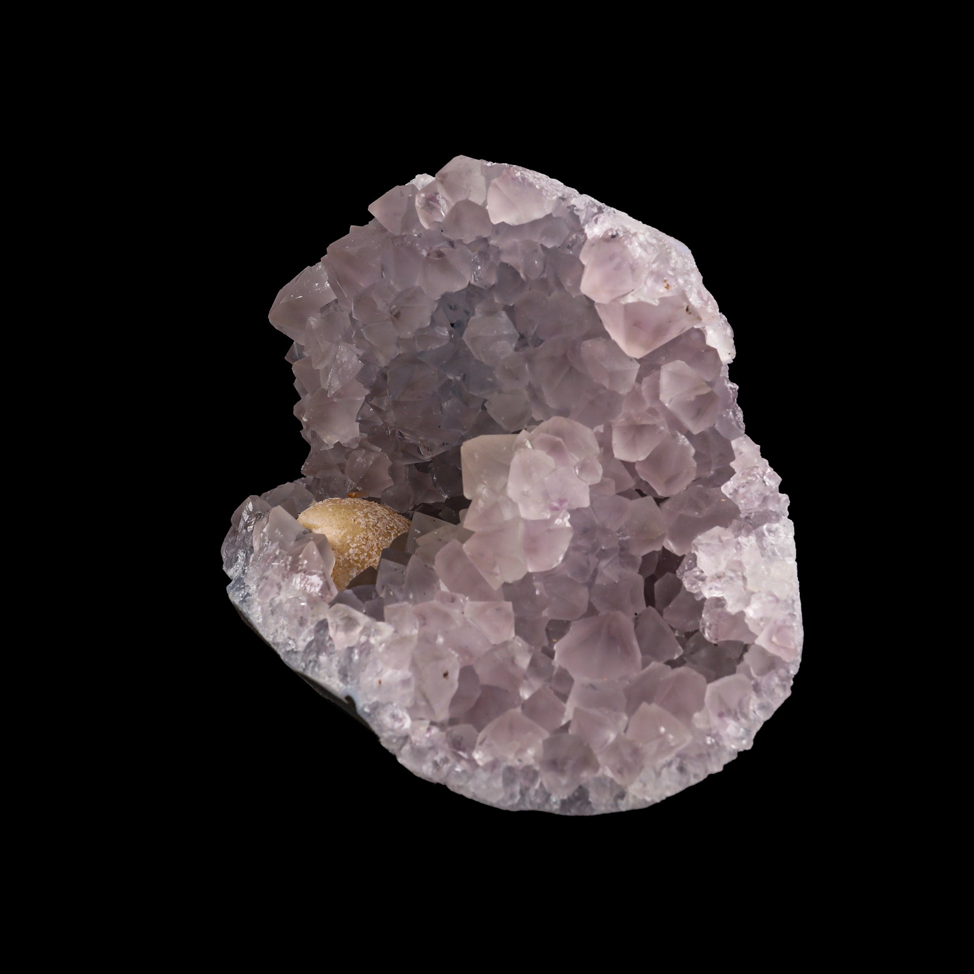 Fluorite with Amethyst Geode  Natural Mineral Specimen  # G 0020