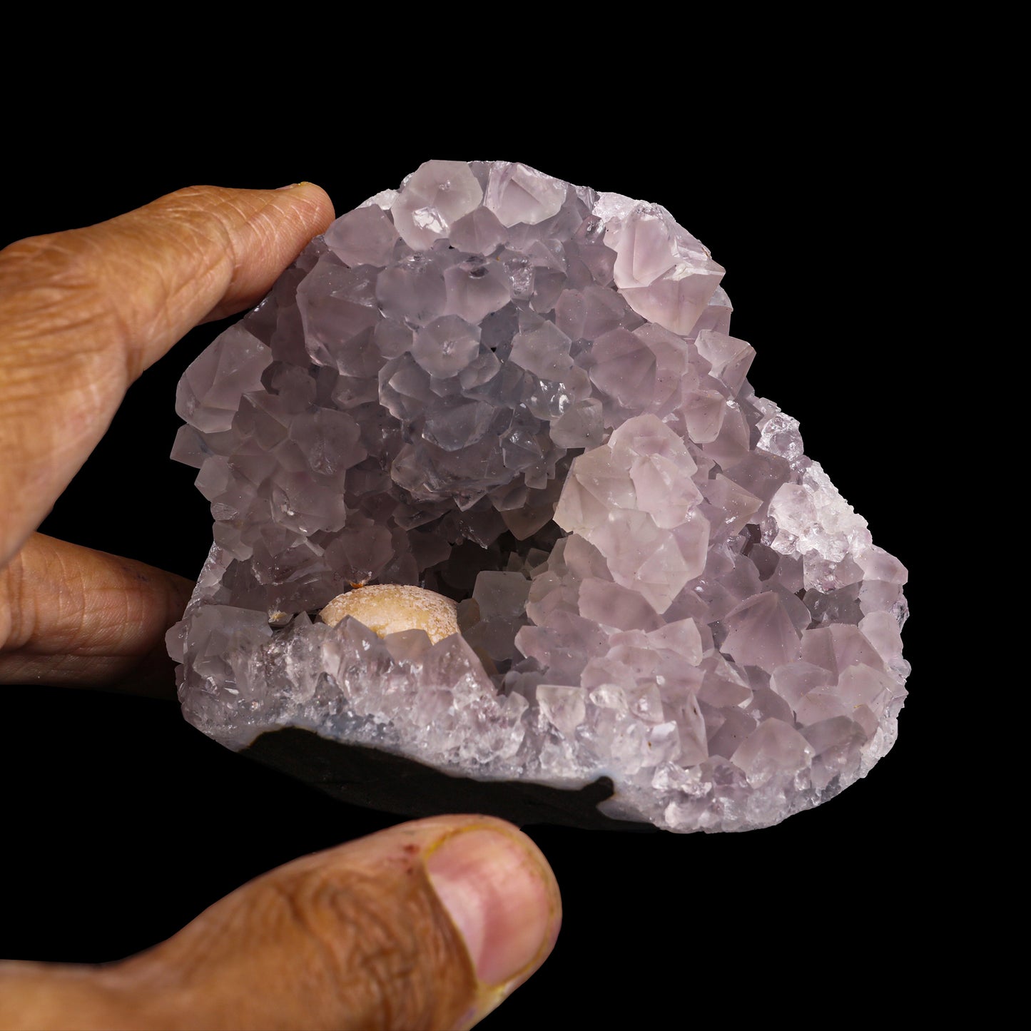 Fluorite with Amethyst Geode Natural Mineral Specimen # G 0020