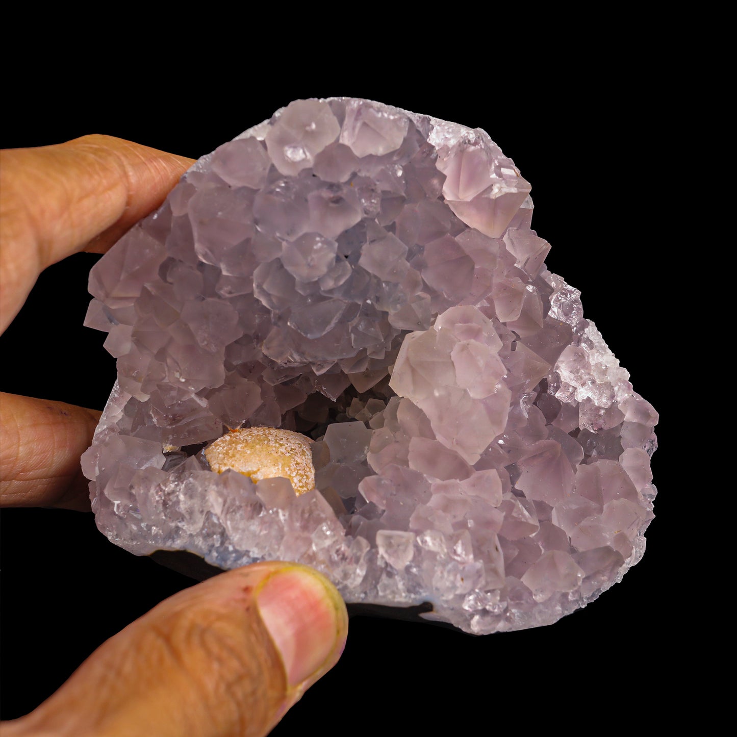 Fluorite with Amethyst Geode Natural Mineral Specimen # G 0020