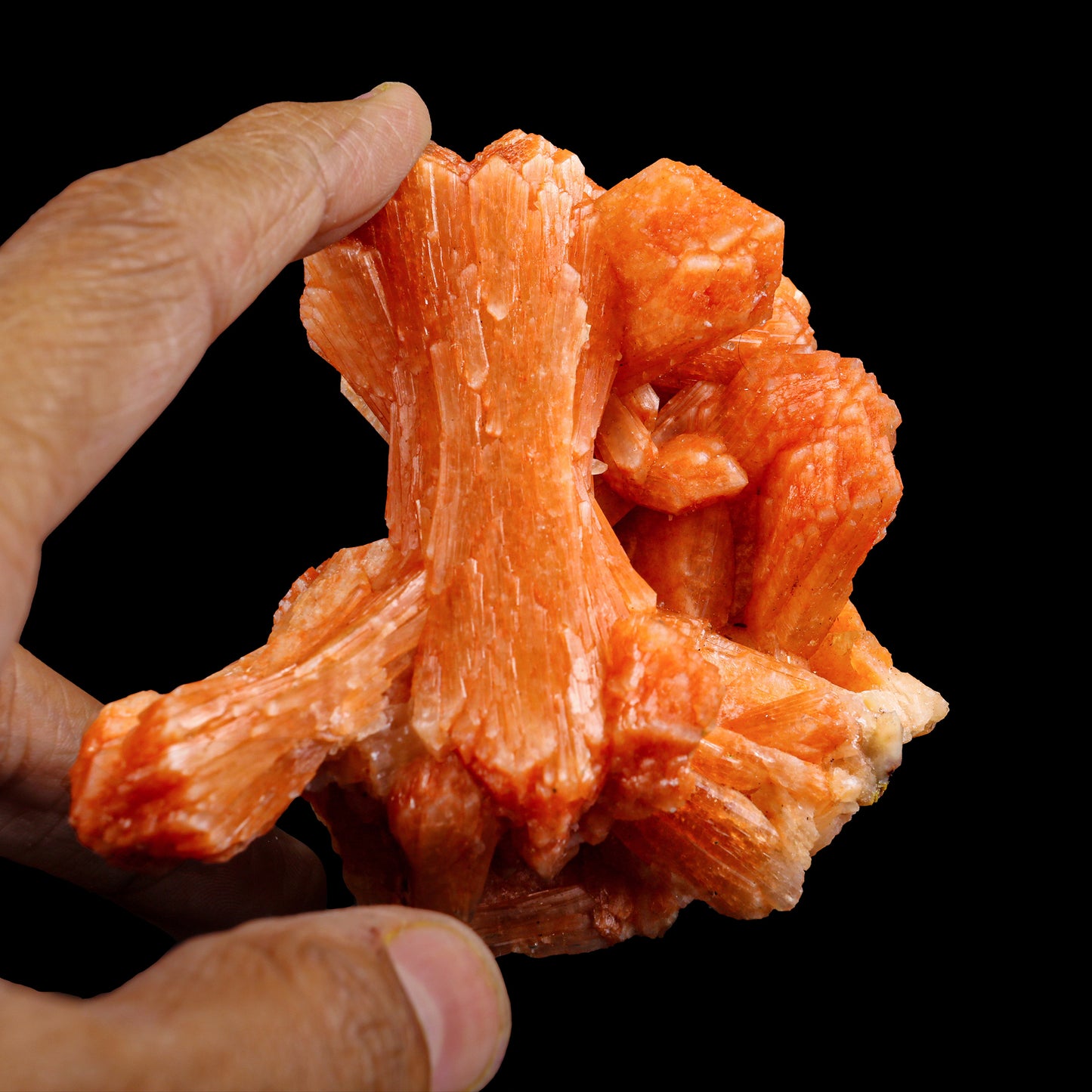 Orange Stilbite Bow Cluster Natural Mineral Specimen # G 0021