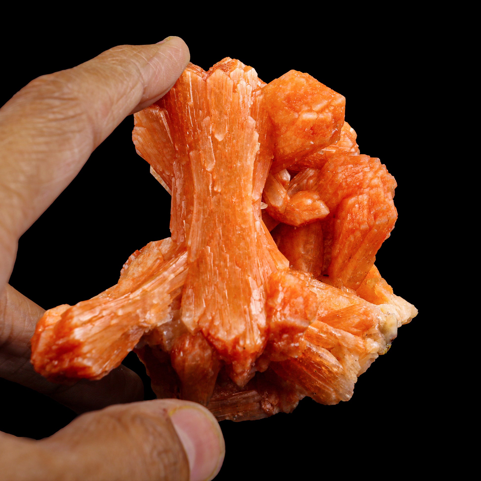 Orange Stilbite Bow Cluster Natural Mineral Specimen # G 0021