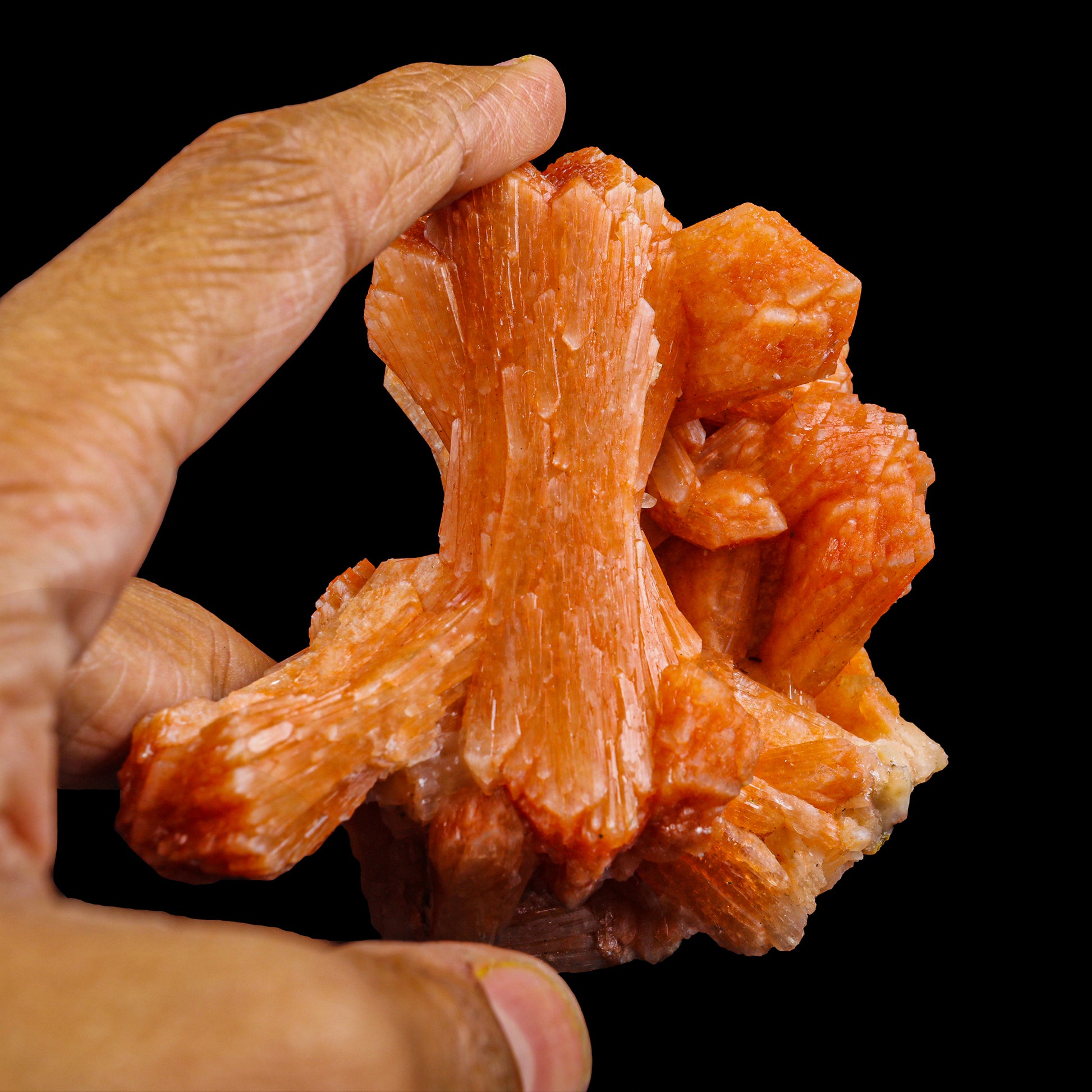 Orange Stilbite Bow Cluster Natural Mineral Specimen # G 0021