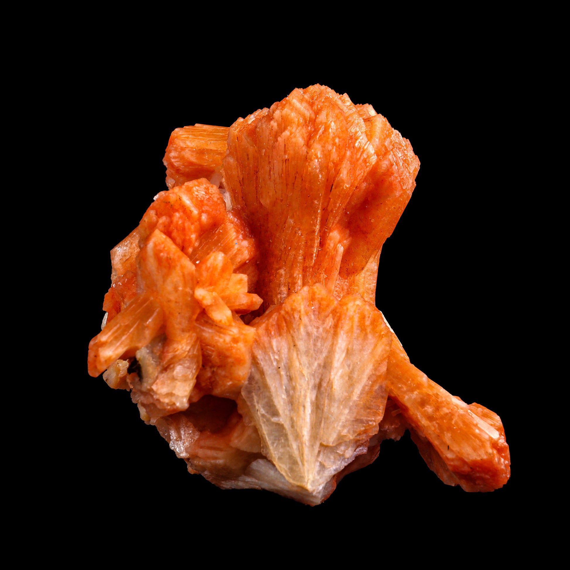 Orange Stilbite Bow Cluster Natural Mineral Specimen # G 0021