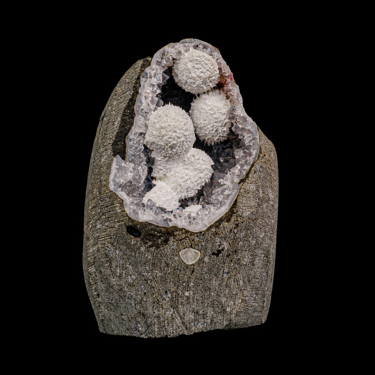 Botryoidal Morednite with MM Quartz Geode Natural Mineral Specimen # G 0023