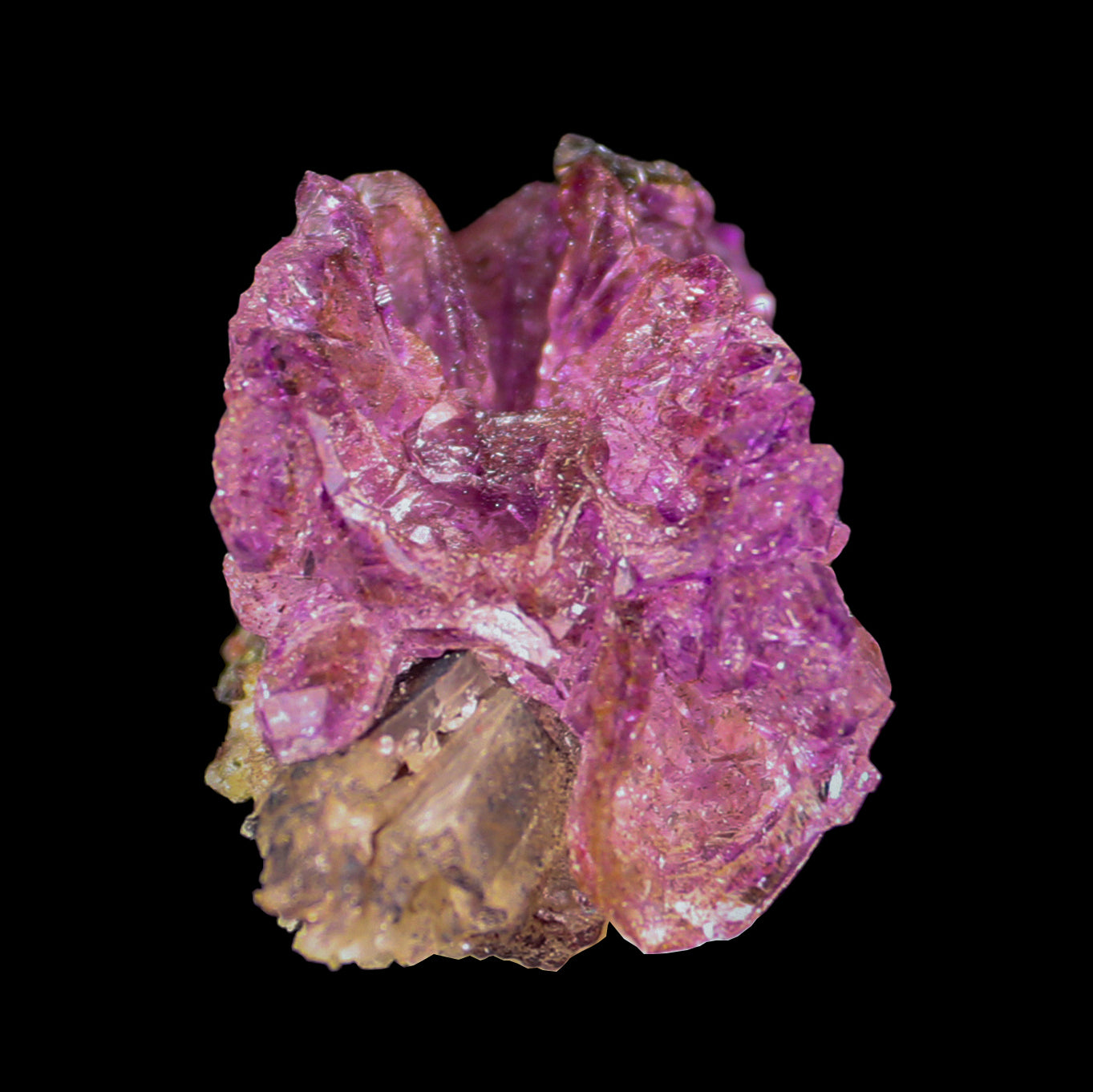 Sceptre Amethyst from Karur Natural Mineral Specimen # G 0024