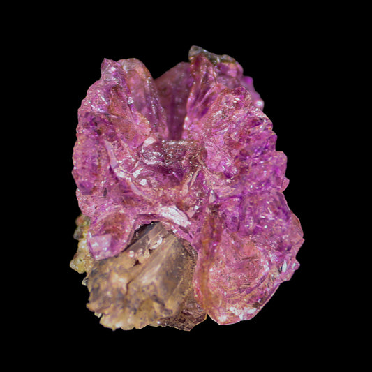 Sceptre Amethyst from Karur  Natural Mineral Specimen  # G 0024