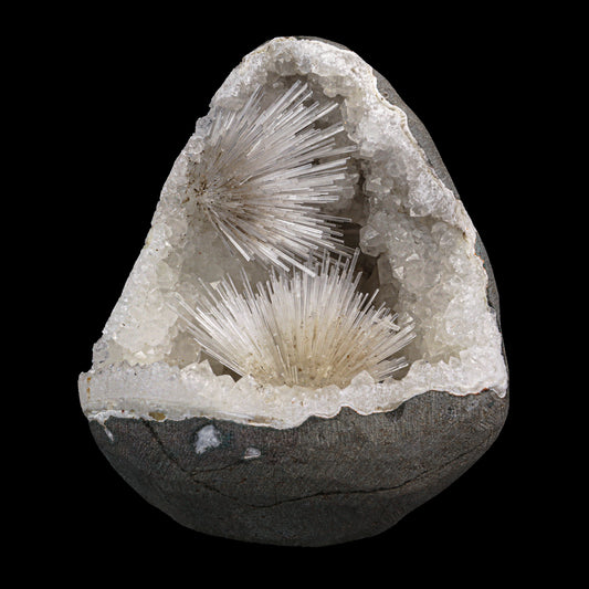 Scolecite Spray with MM Quartz Geode  Natural Mineral Specimen  # G 0027