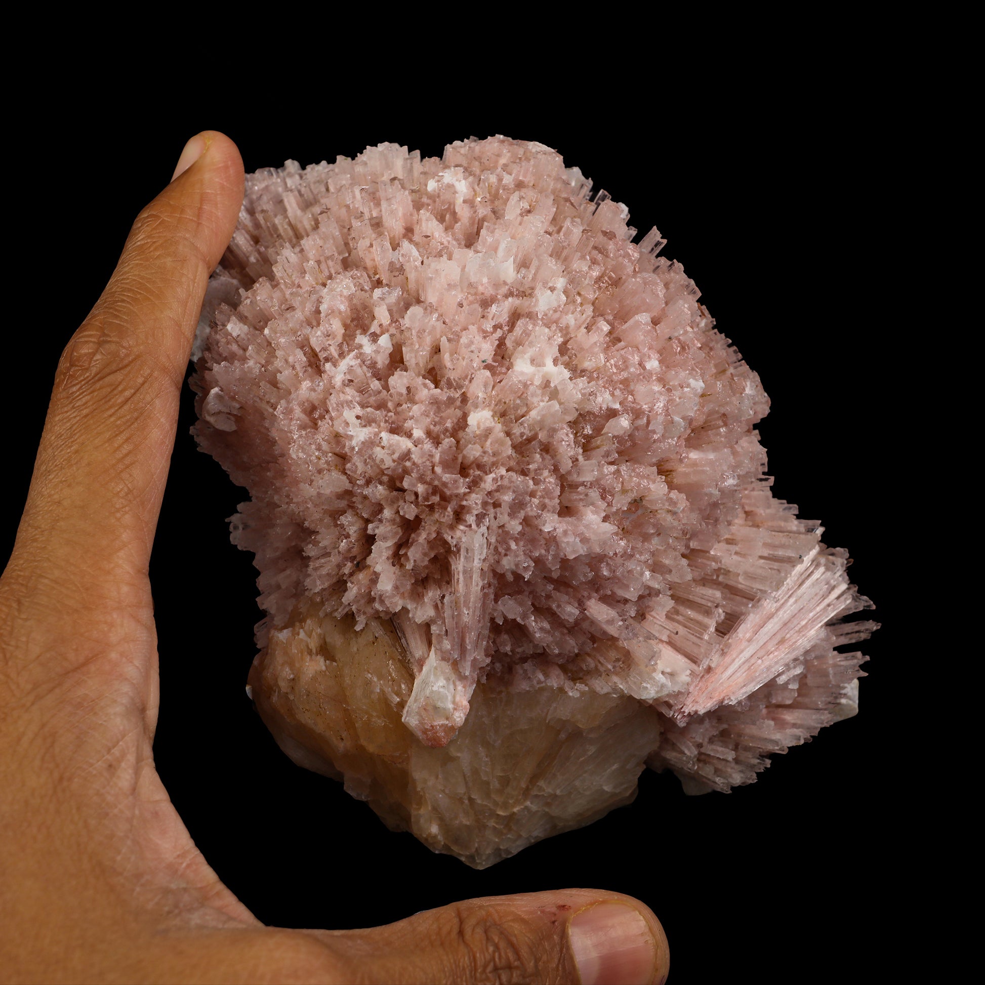 Pink Scolecite With Stilbite  Natural Mineral Specimen  # G 0033