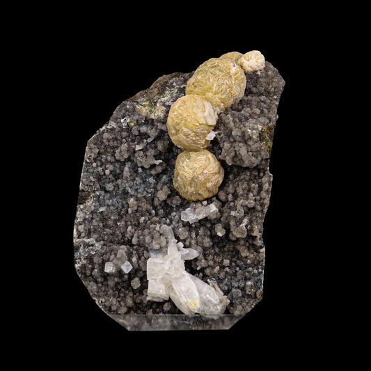 Rare Gyrolite With Apophyllite on Chalcedony Natural Mineral Specimen  # G 0038 (Copy)