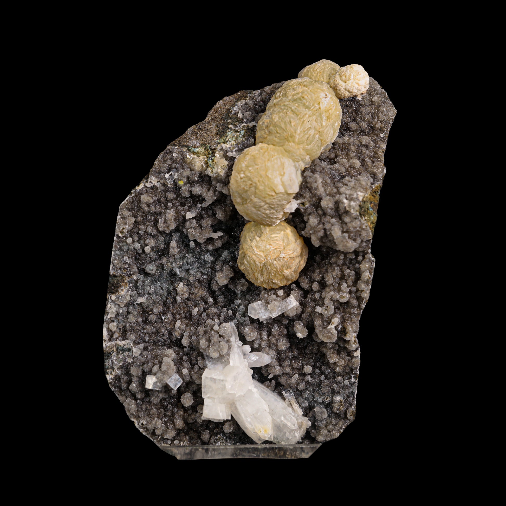 Rare Gyrolite With Apophyllite on Chalcedony Natural Mineral Specimen  # G 0038 (Copy)