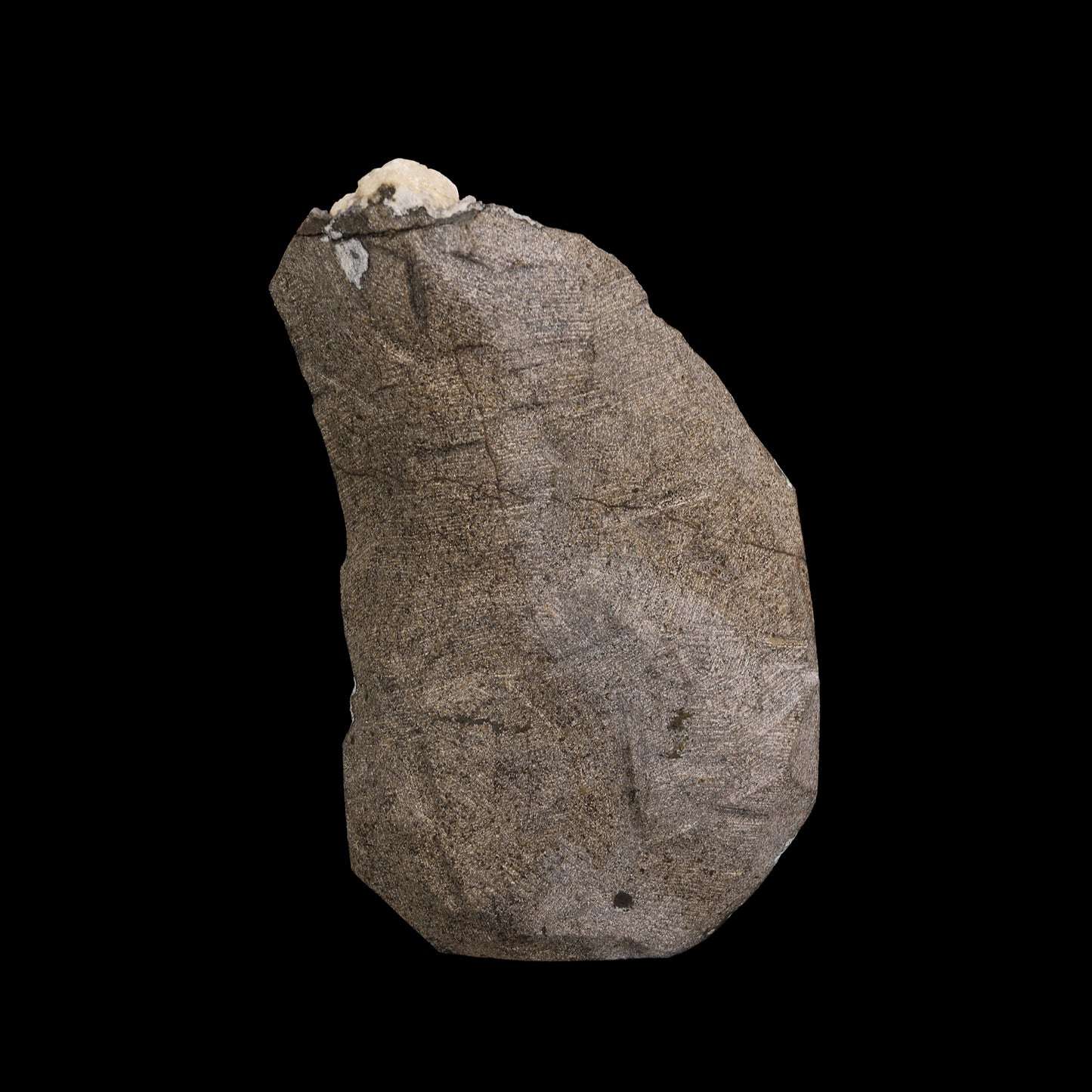 Rare Gyrolite With Apophyllite on Chalcedony Natural Mineral Specimen # G 0038 (Copy)