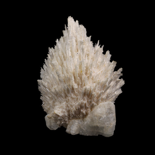 Scolecite Spray with  Apophyllite cube Natural Mineral Specimen  # G 0053