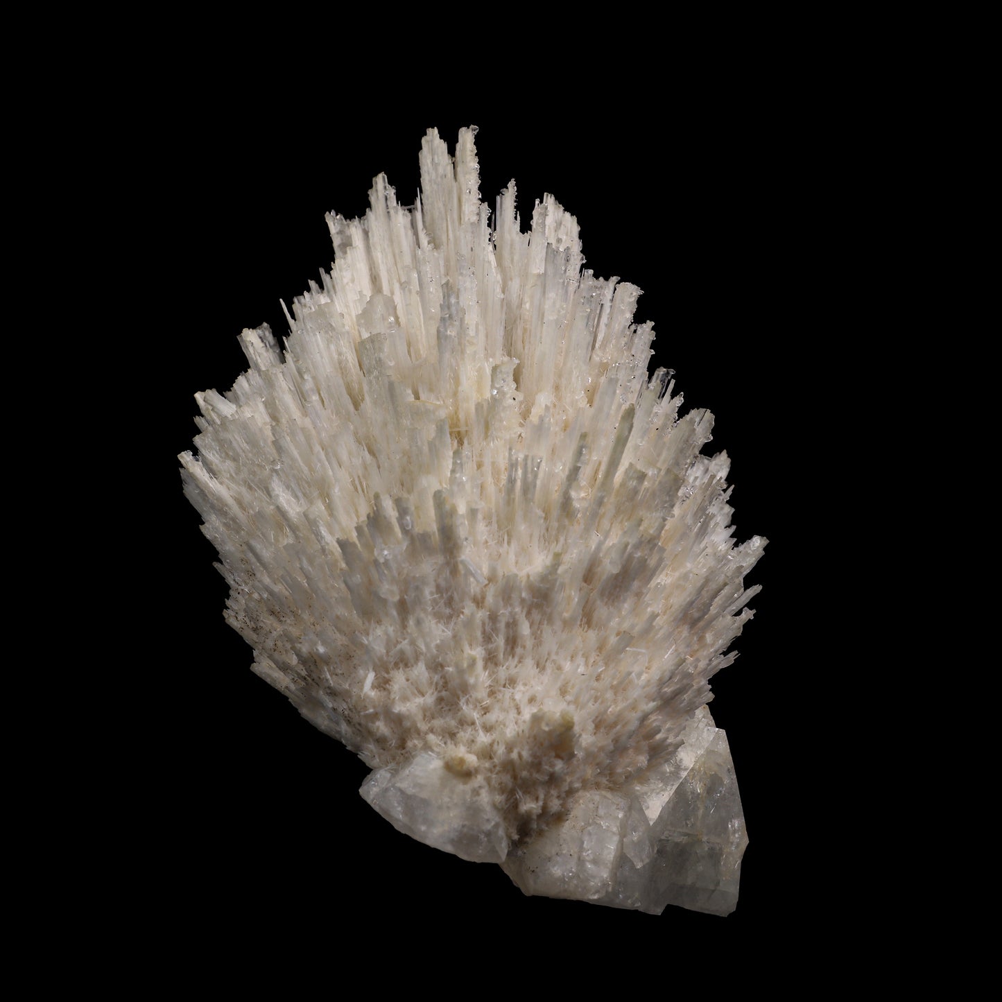 Scolecite Spray with Apophyllite cube Natural Mineral Specimen # G 0053