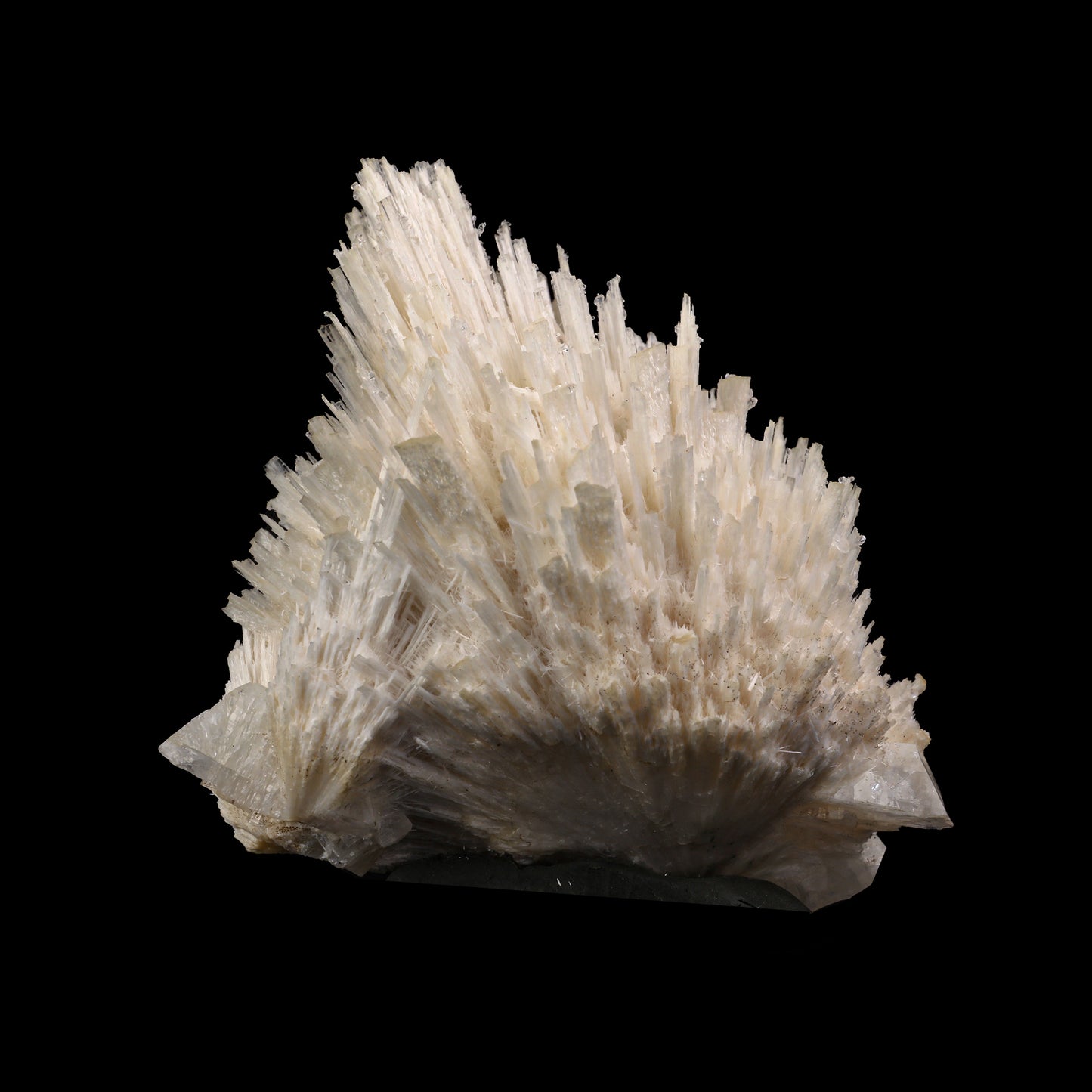Scolecite Spray with Apophyllite cube Natural Mineral Specimen # G 0053