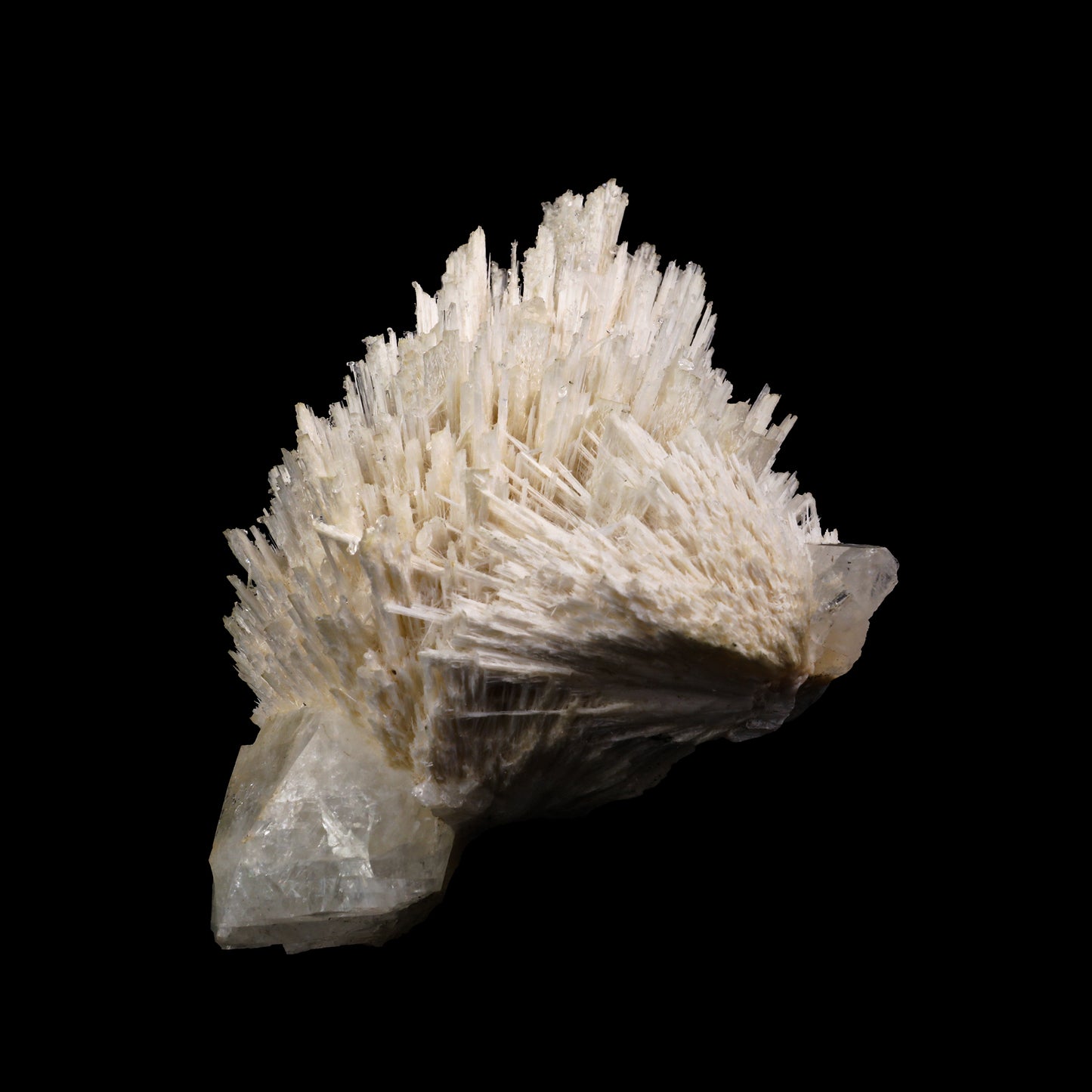 Scolecite Spray with Apophyllite cube Natural Mineral Specimen # G 0053