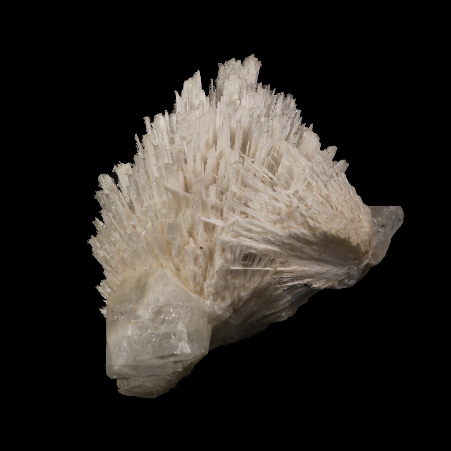 Scolecite Spray with Apophyllite cube Natural Mineral Specimen # G 0053