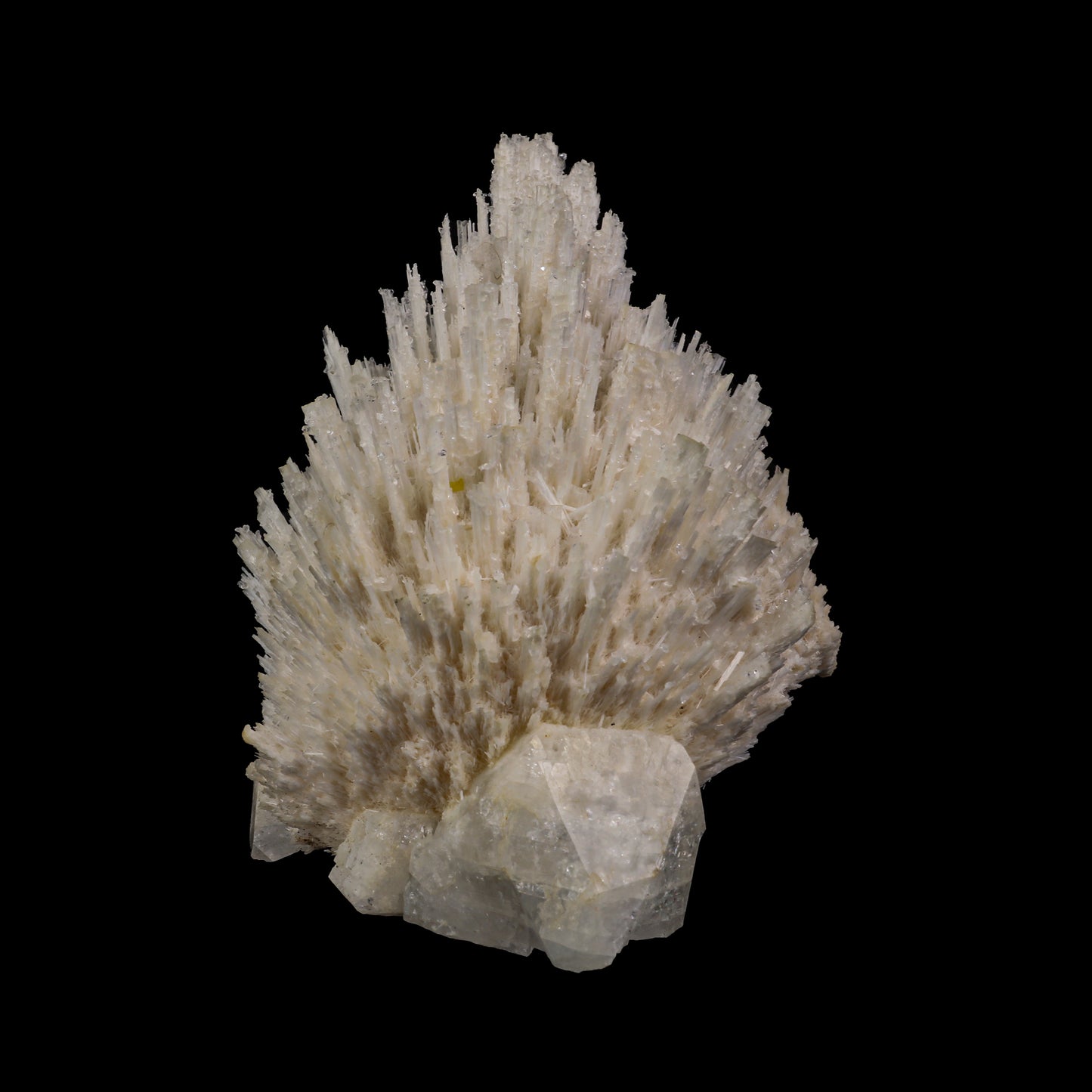 Scolecite Spray with Apophyllite cube Natural Mineral Specimen # G 0053