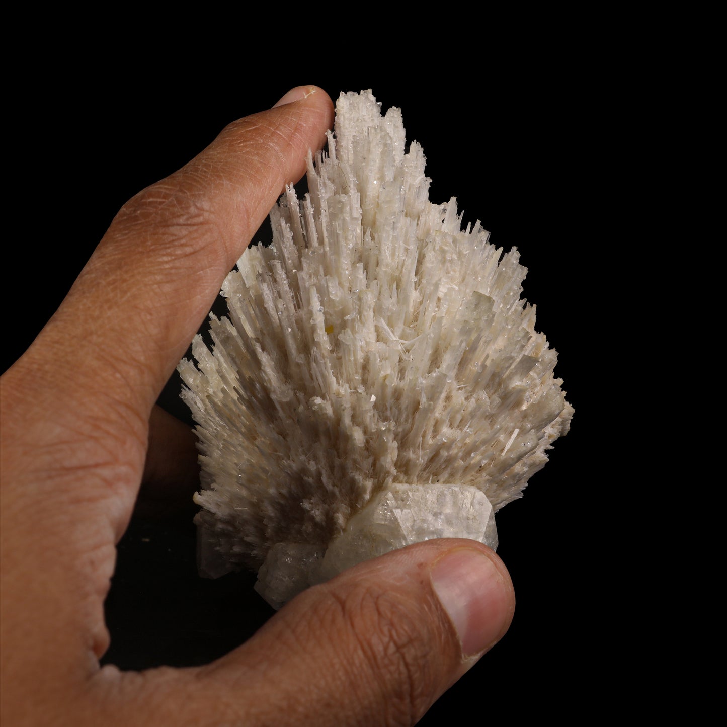 Scolecite Spray with Apophyllite cube Natural Mineral Specimen # G 0053