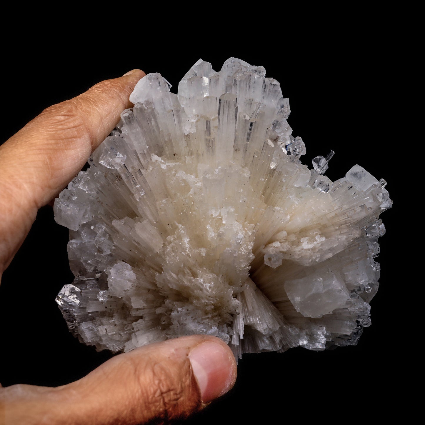 Scolecite Spray with Apophyllite cube Natural Mineral Specimen # G 0062