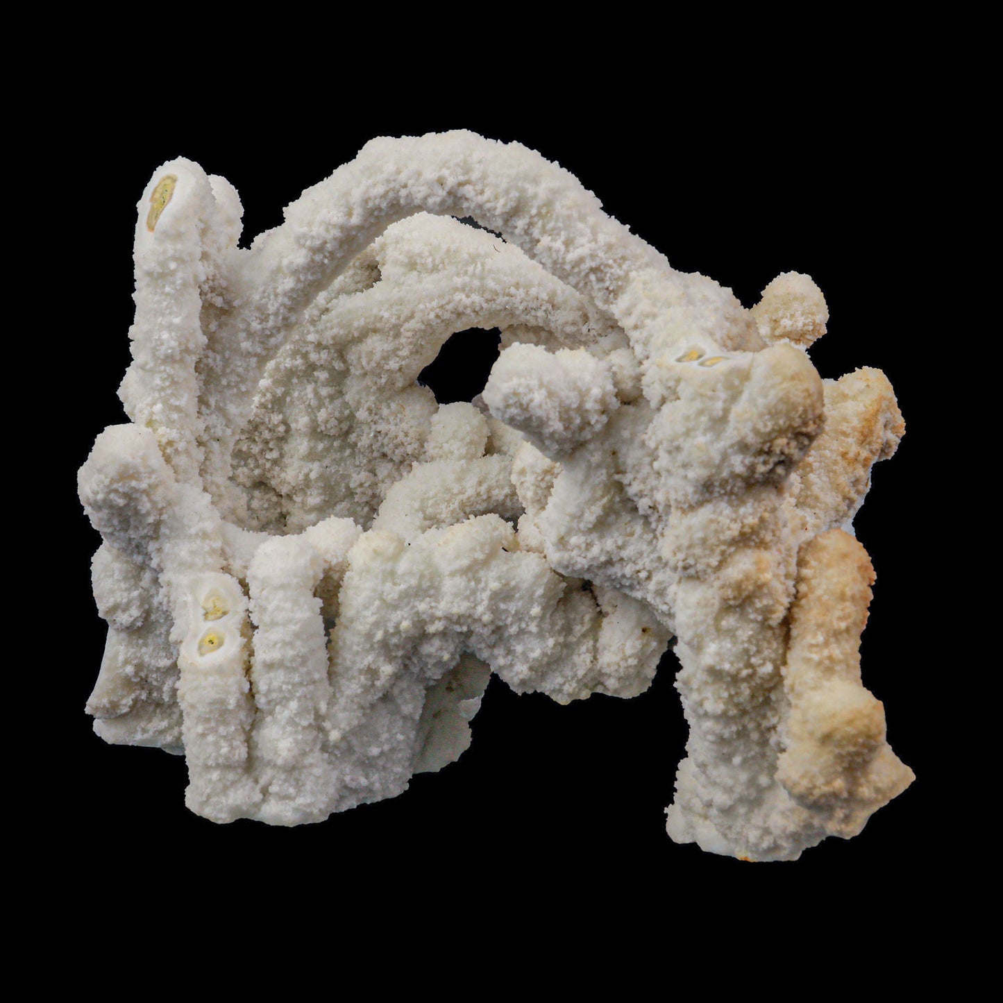 Chalcedony Stalactite Cluster Natural Mineral Specimen # G 0079