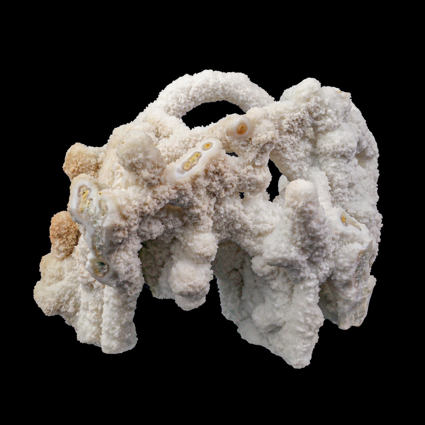 Chalcedony Stalactite Cluster Natural Mineral Specimen # G 0079