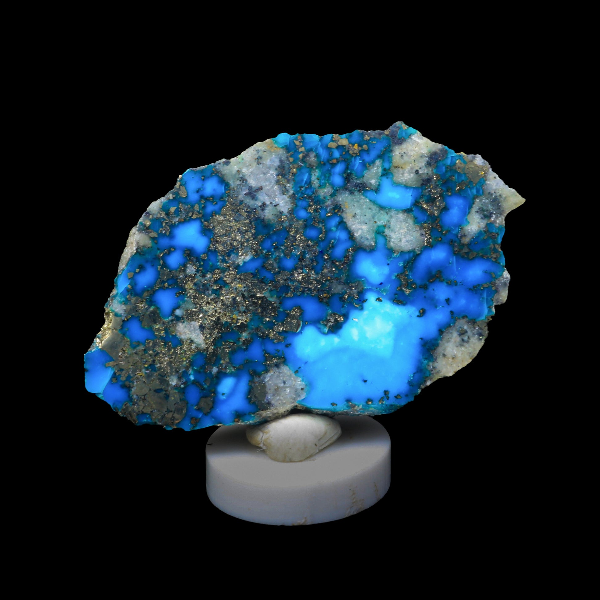 Turquoise with Pyrite  Natural  Mineral Specimen  # G 0217