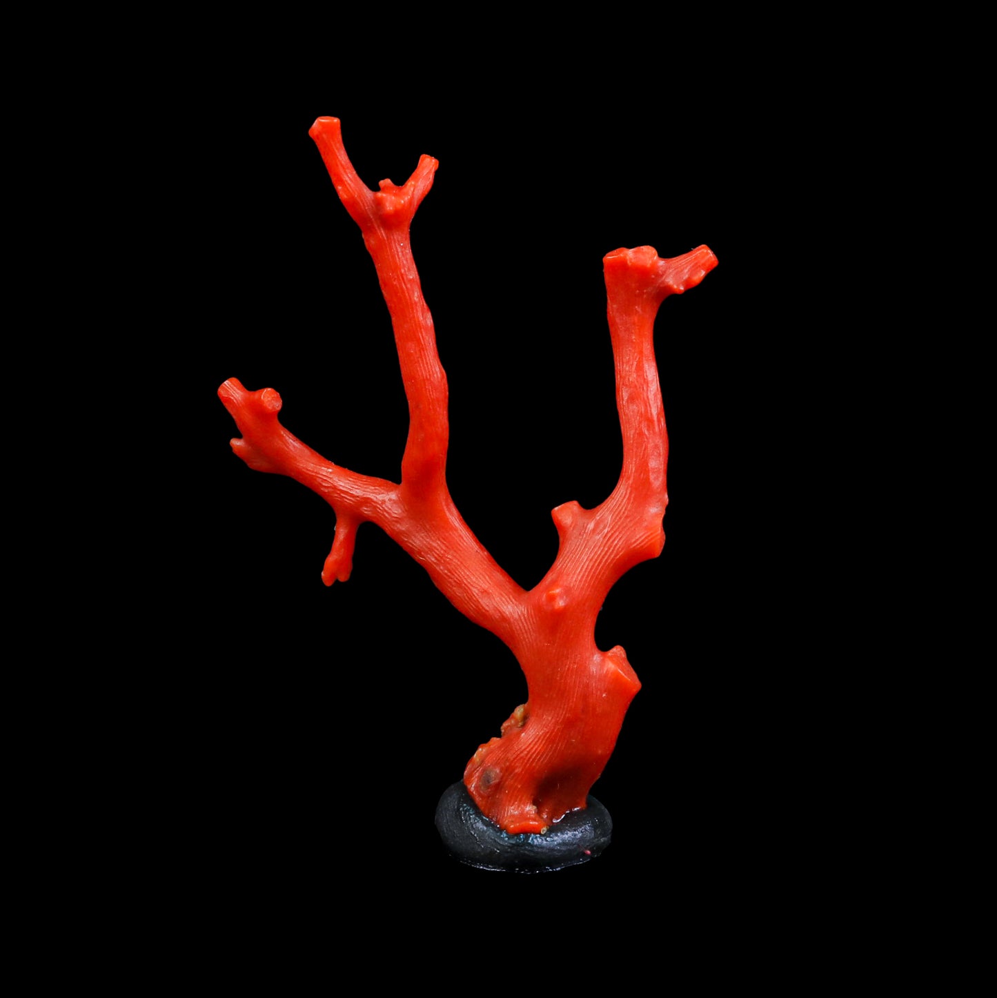 Red Coral Natural Mineral Specimen # G 0224
