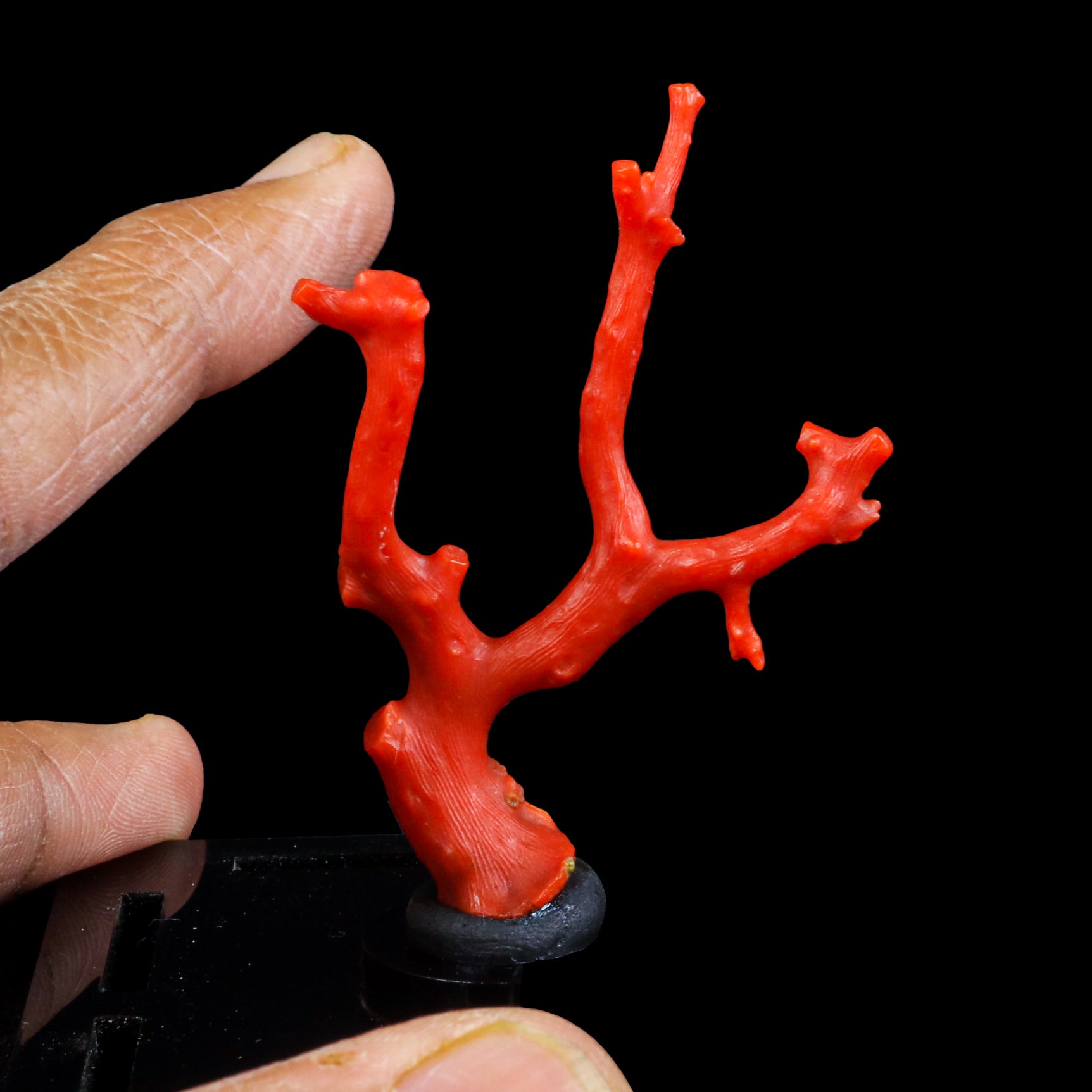 Red Coral Natural Mineral Specimen  # G 0224