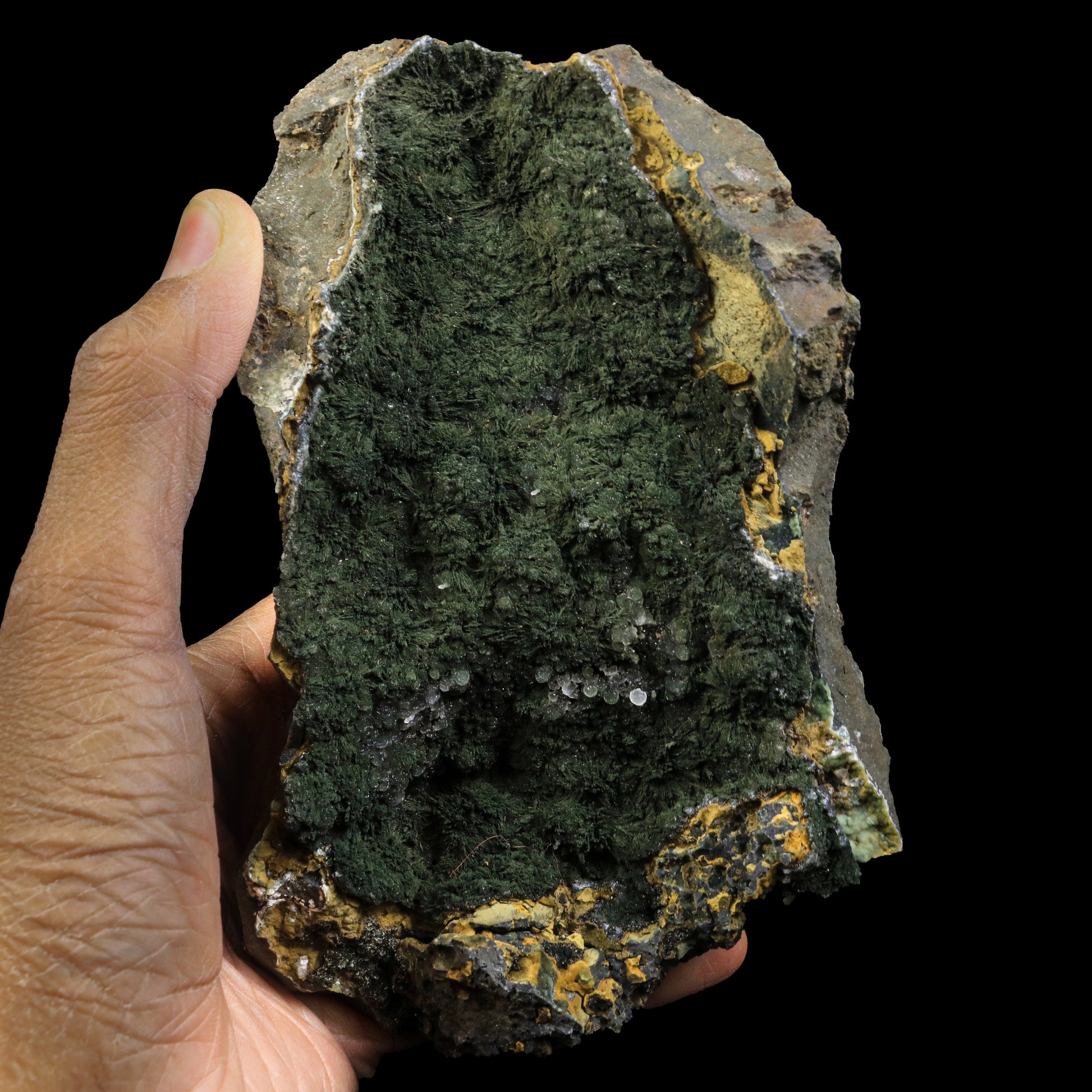 Rare Julgoldite With Botryoidal Chalcedony  Natural Mineral Specimen  # G 0230