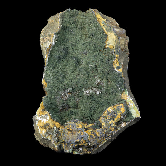 Rare Julgoldite With Botryoidal Chalcedony  Natural Mineral Specimen  # G 0230