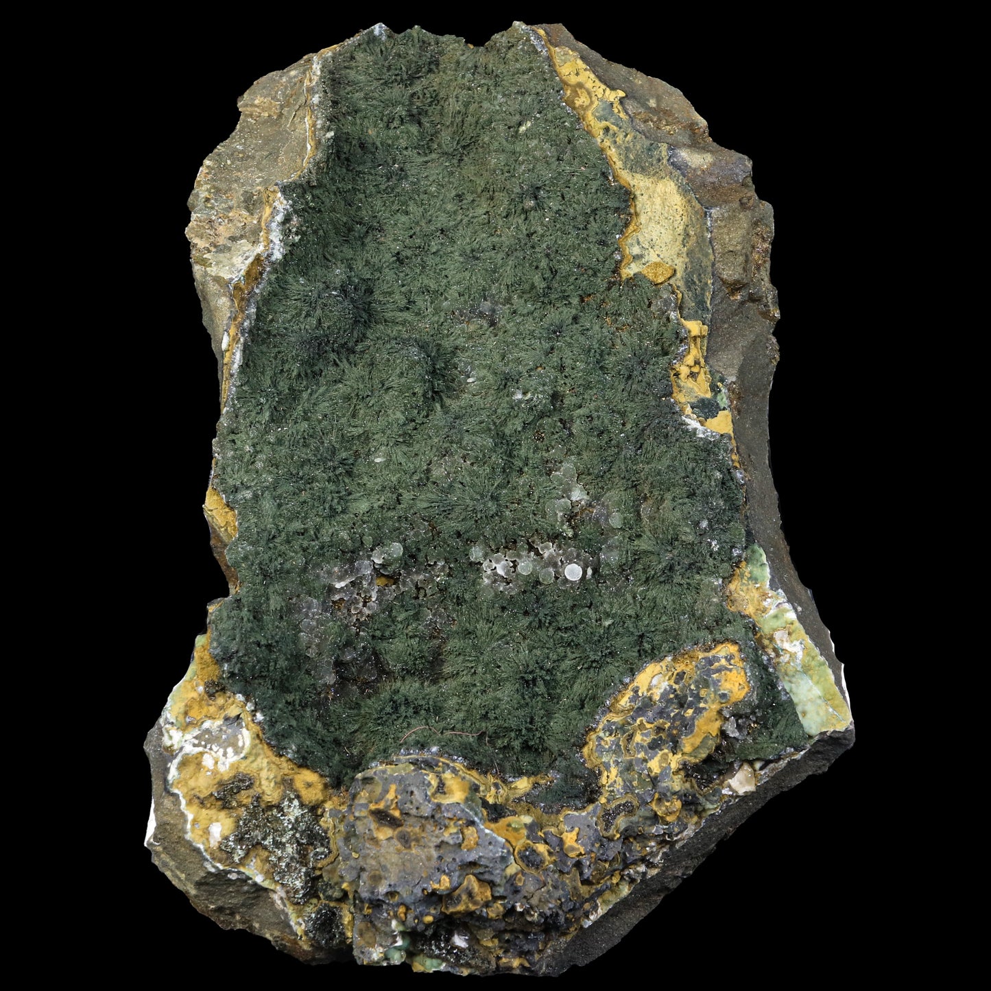 Rare Julgoldite With Botryoidal Chalcedony Natural Mineral Specimen # G 0230
