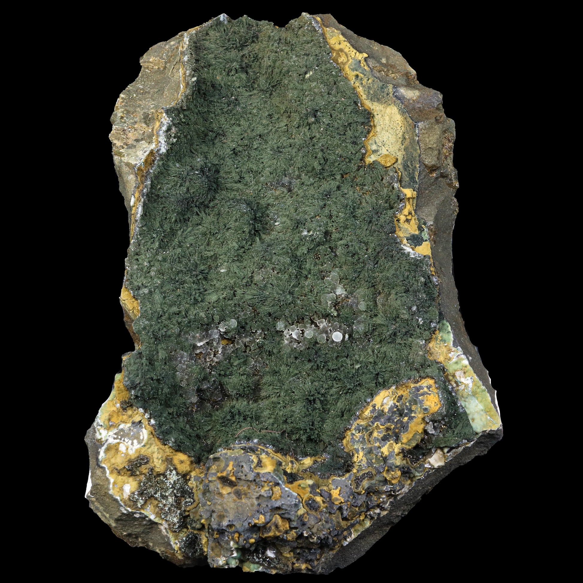 Rare Julgoldite With Botryoidal Chalcedony  Natural Mineral Specimen  # G 0230