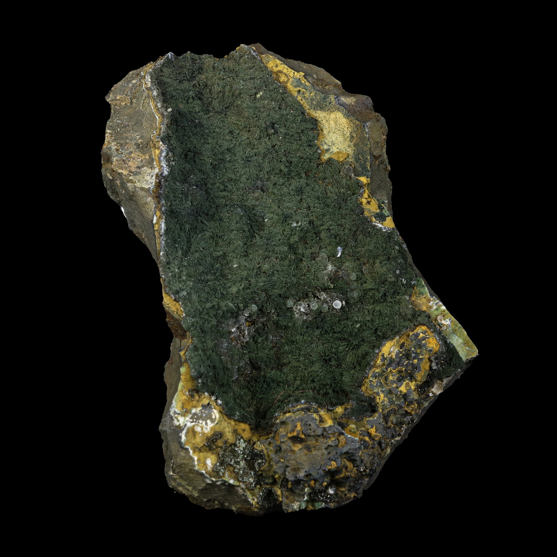 Rare Julgoldite With Botryoidal Chalcedony  Natural Mineral Specimen  # G 0230