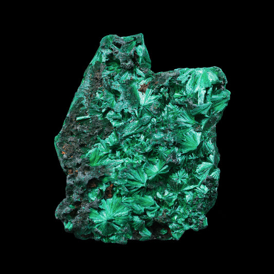 Malachite Cluster Natural Mineral Specimen  # G 0232