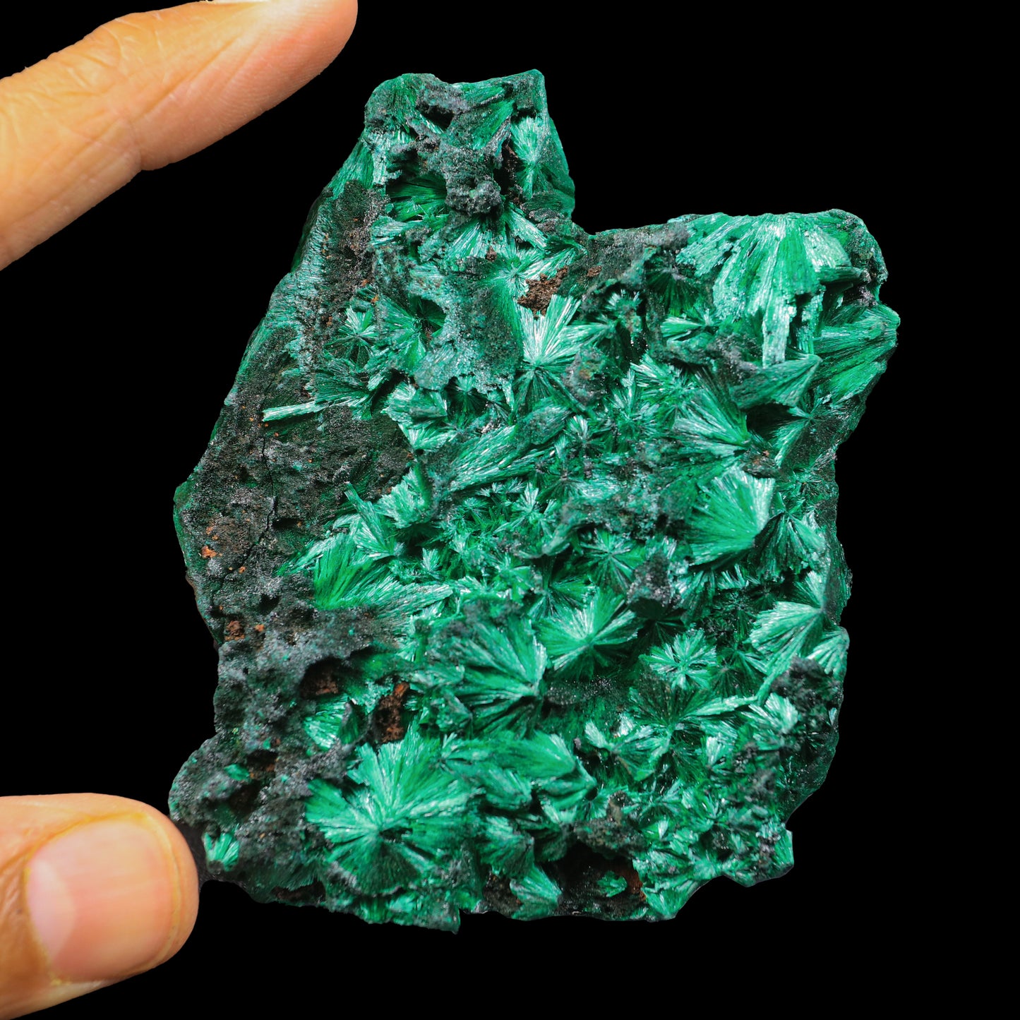 Malachite Cluster Natural Mineral Specimen # G 0232