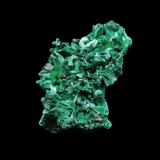 Malachite Cluster Natural Mineral Specimen  # G 0240