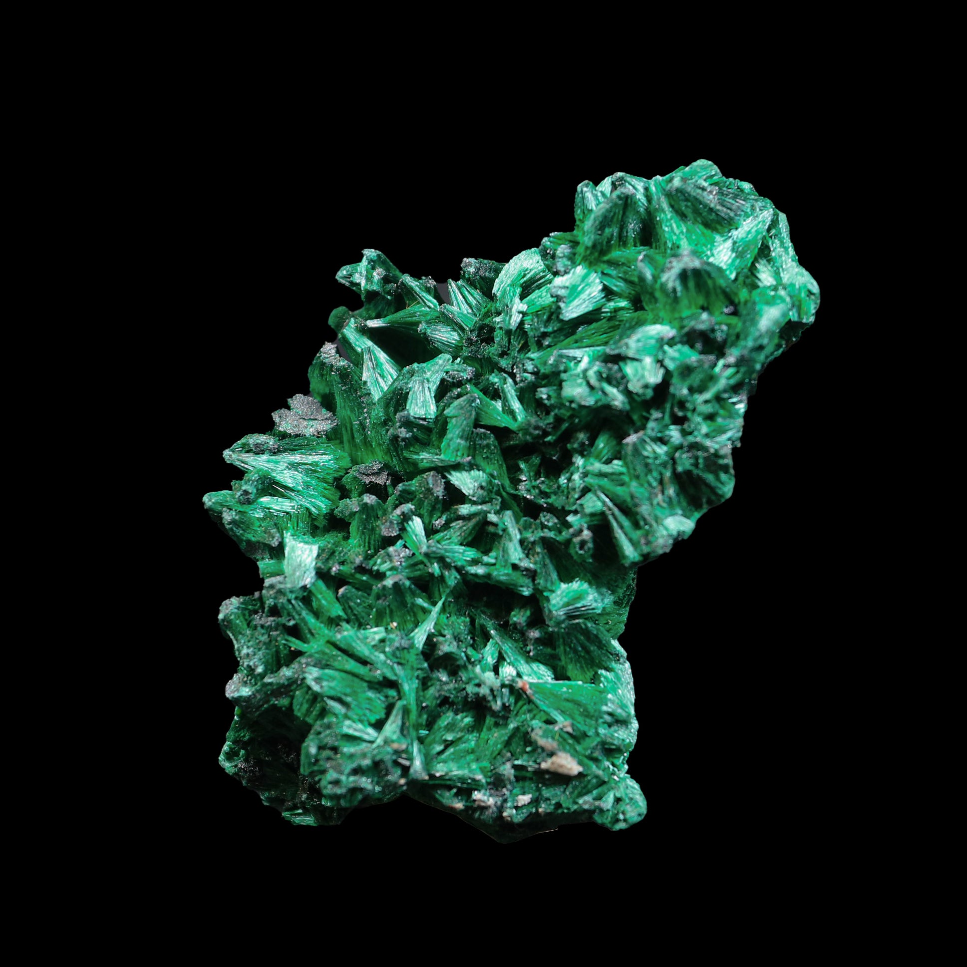Malachite Cluster Natural Mineral Specimen  # G 0240