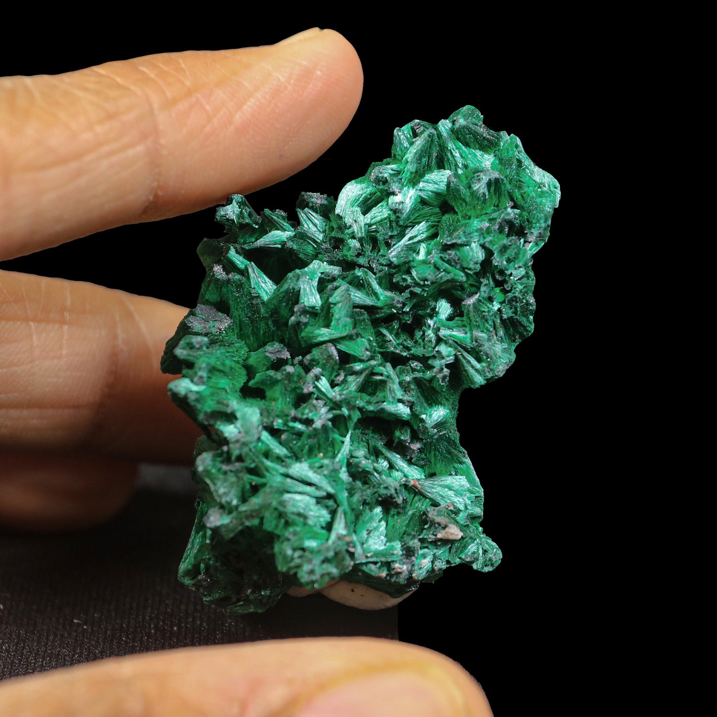 Malachite Cluster Natural Mineral Specimen # G 0240