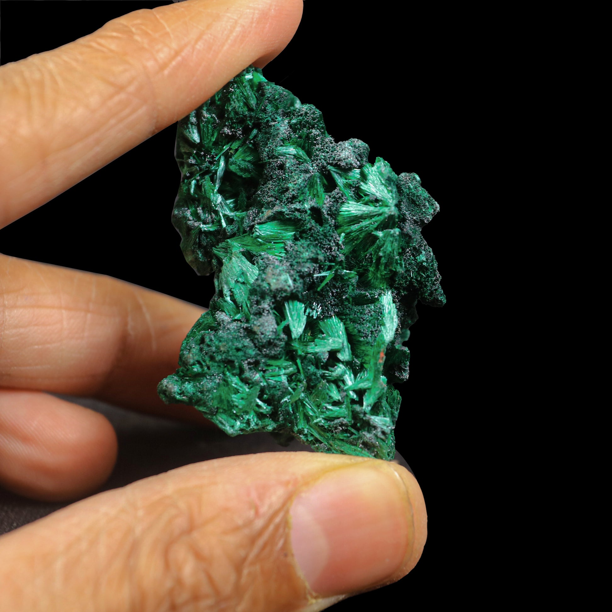 Malachite Cluster Natural Mineral Specimen  # G 0240