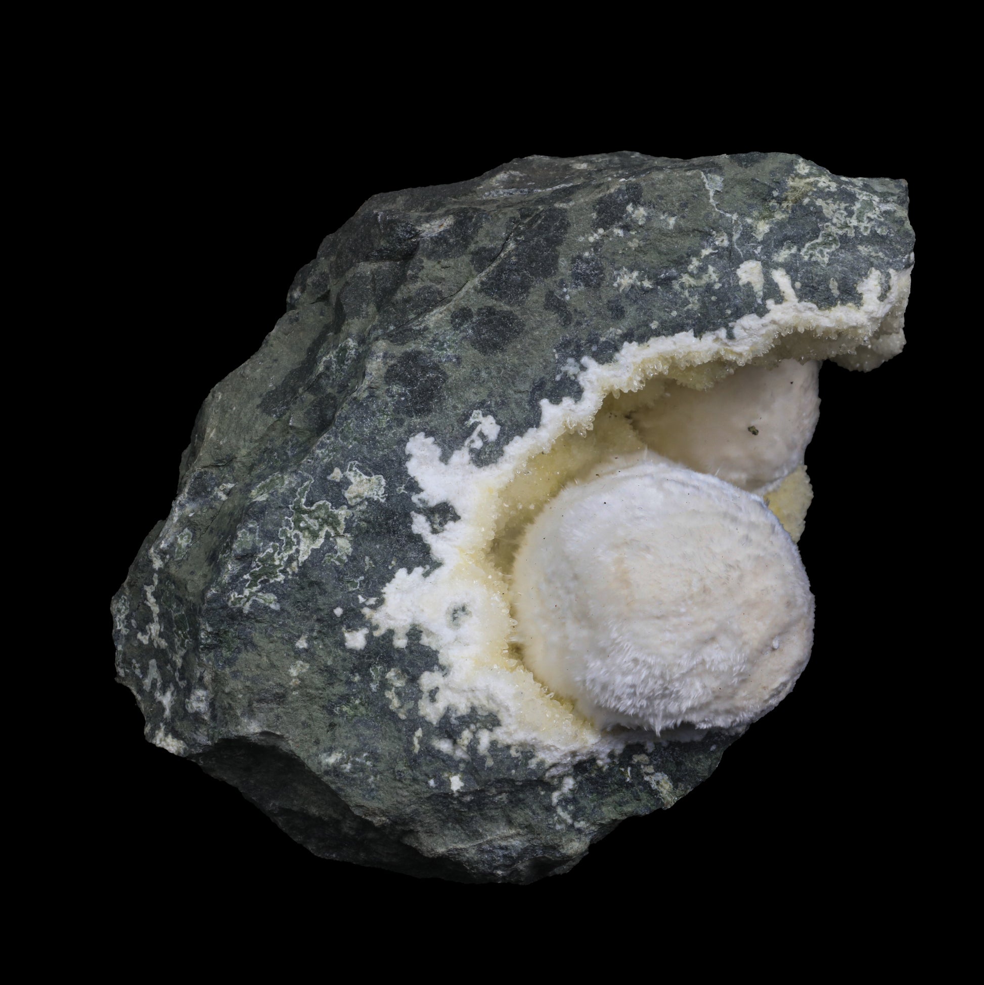 Rare Okenite with MM Quartz from Old School Mumbai  Natural Mineral Specimen  # G 0247