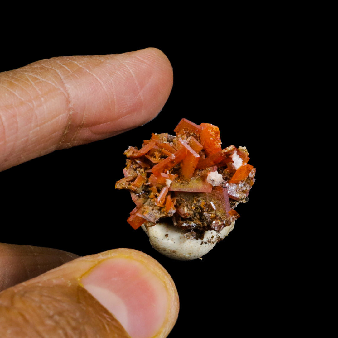 Rare Orange Wulfenite Cluster G #0273