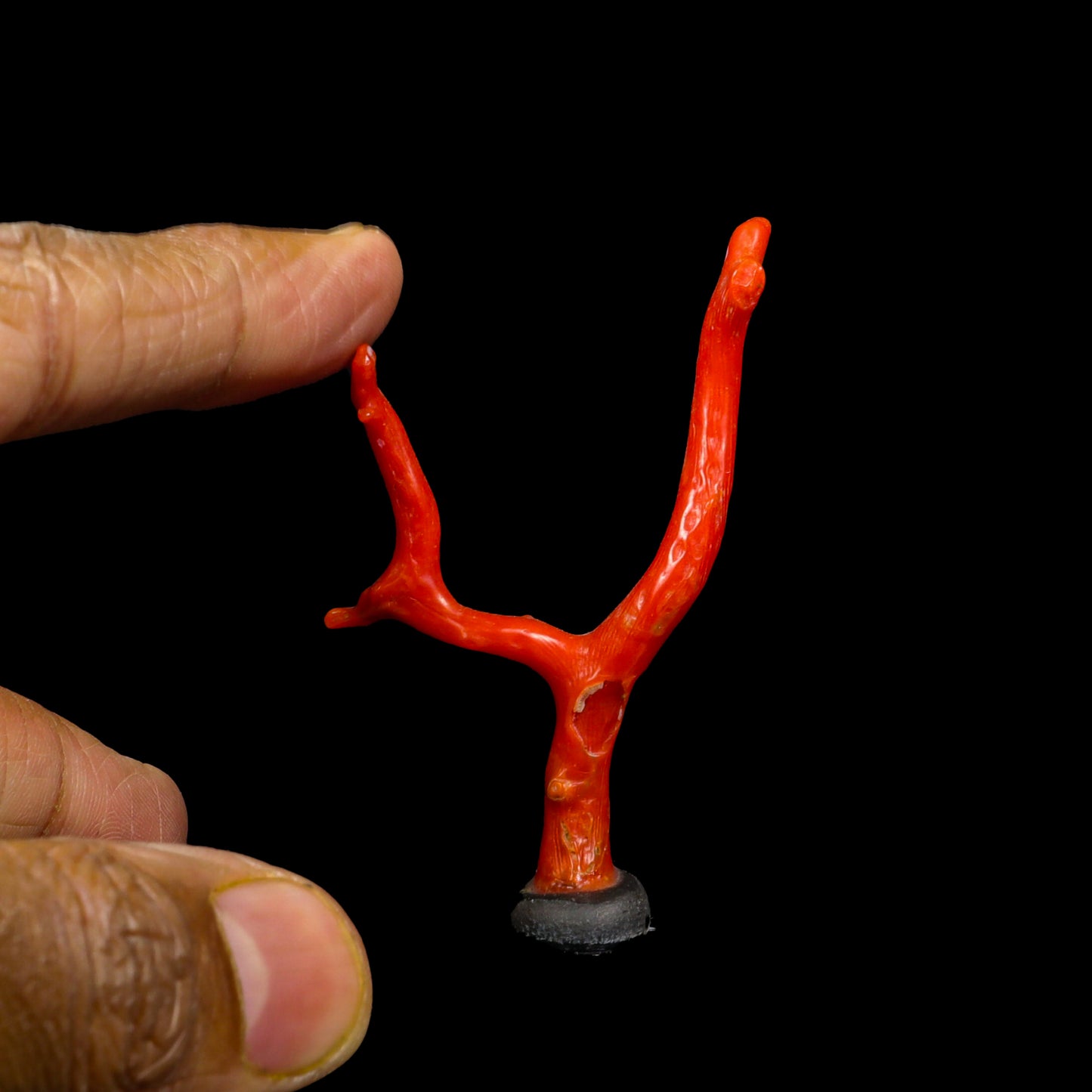 Red Coral Natural Specimen G #0288